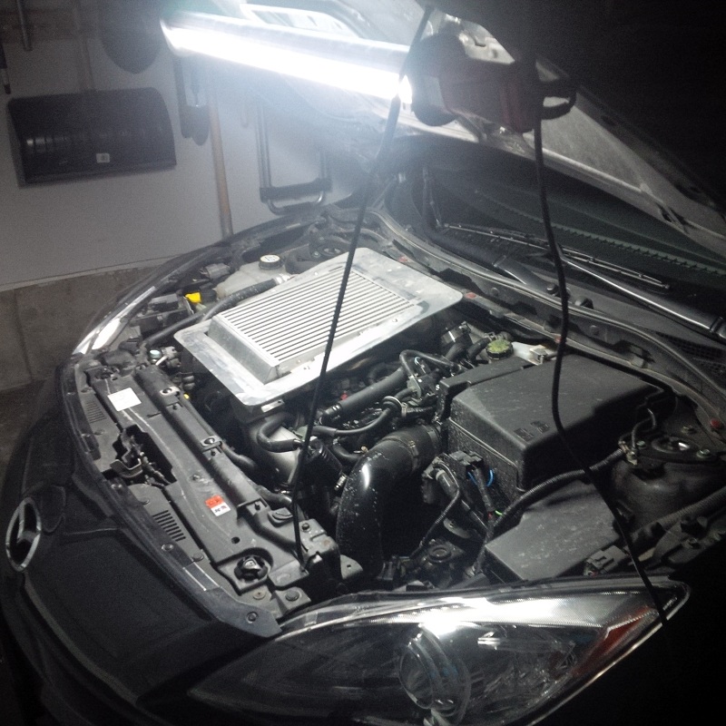 underhood3.jpg